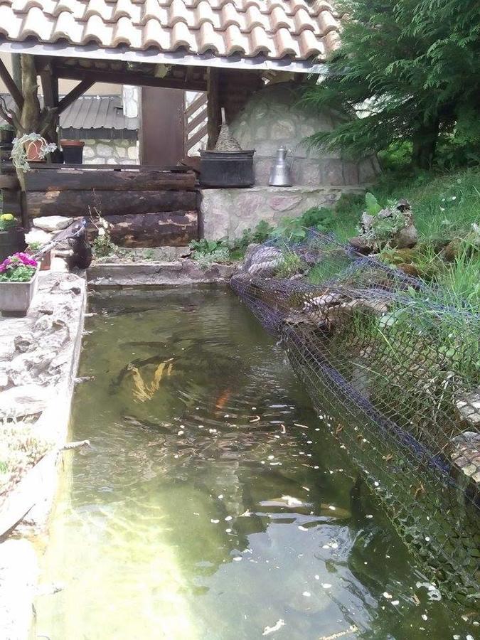 Apartment Suzana マヴロヴォ エクステリア 写真